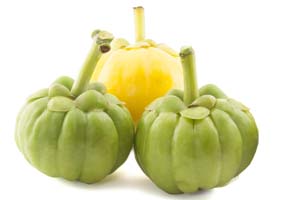 garcinia-cambogia fruits